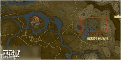 雷之台地 龍血樹